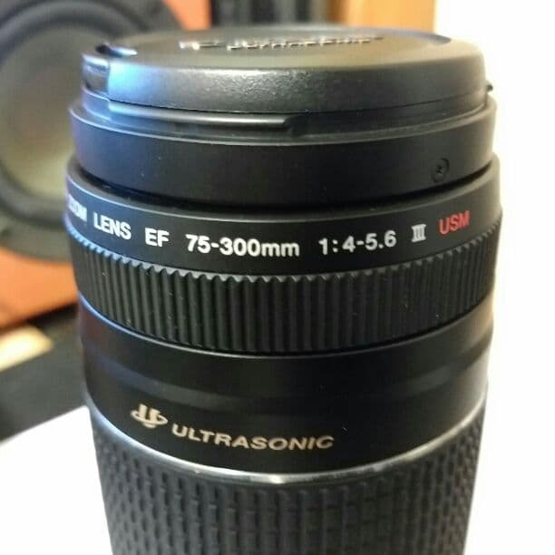 Canon ズームレンズ 75-300mm f4-5.6