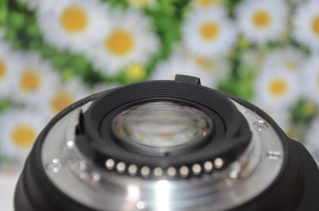 完動品❤ニコン❤Nikon AF-S DX 18-200㎜ ❤Ⅱ型 遠近両用❤