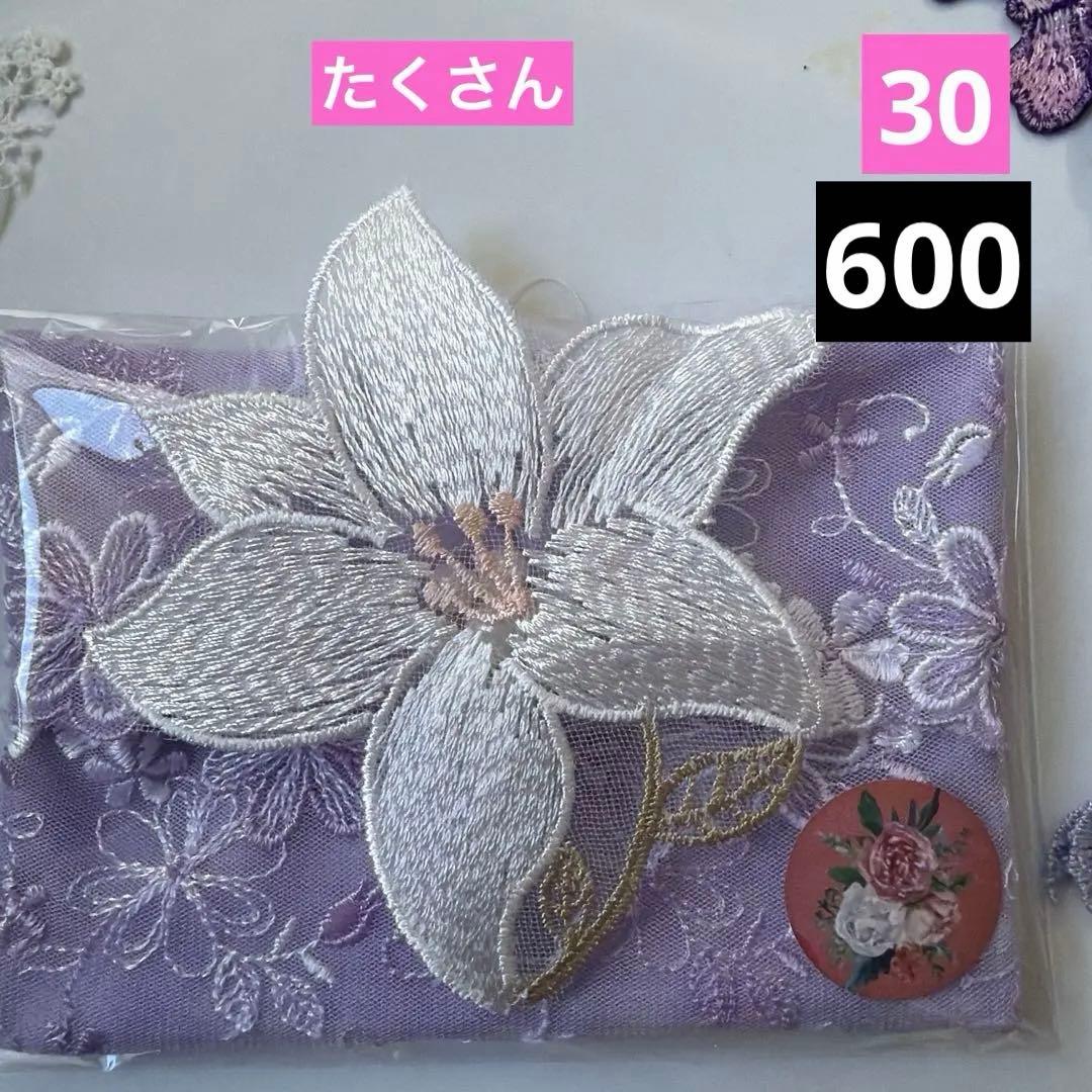 ポケットティッシュケース見本