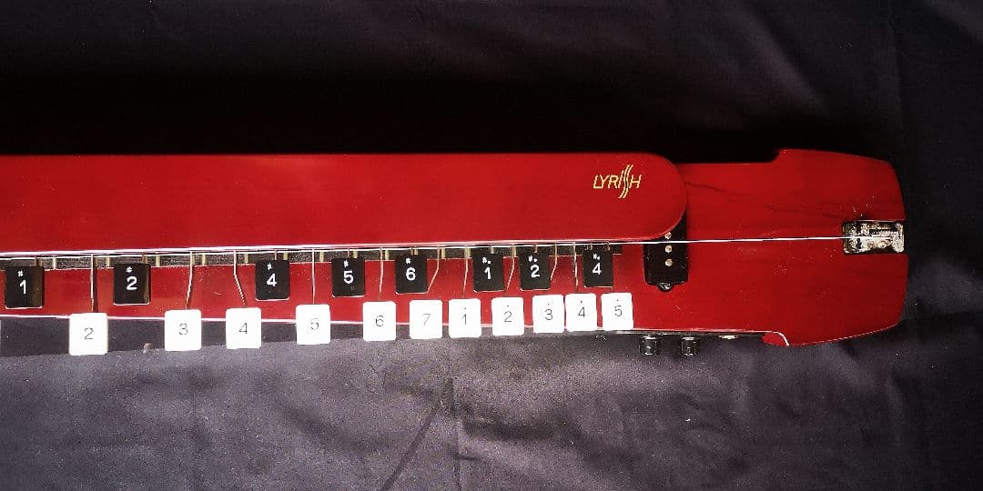 LYRISH 大正琴 「 LSB95」 BASS 弓付き