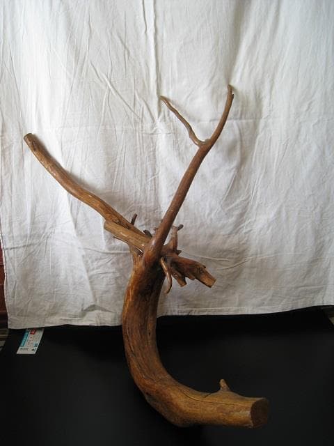 木のツル　天然木　天然アート　木工品　２種セット  梱包・発送たのメル便