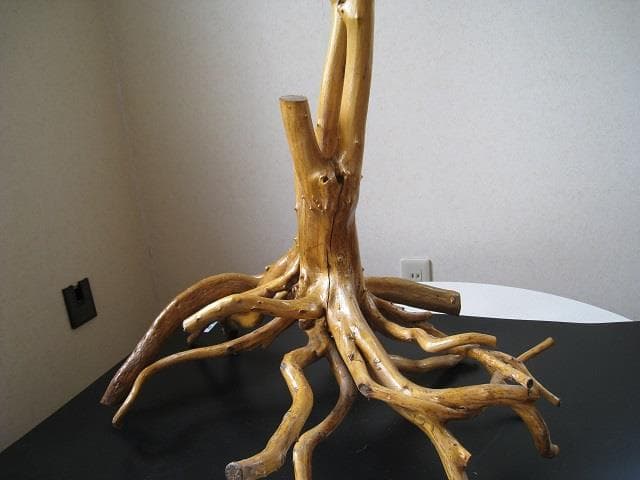木のツル　天然木　天然アート　木工品　２種セット  梱包・発送たのメル便