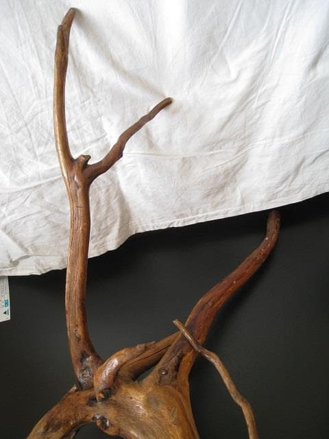 木のツル　天然木　天然アート　木工品　２種セット  梱包・発送たのメル便