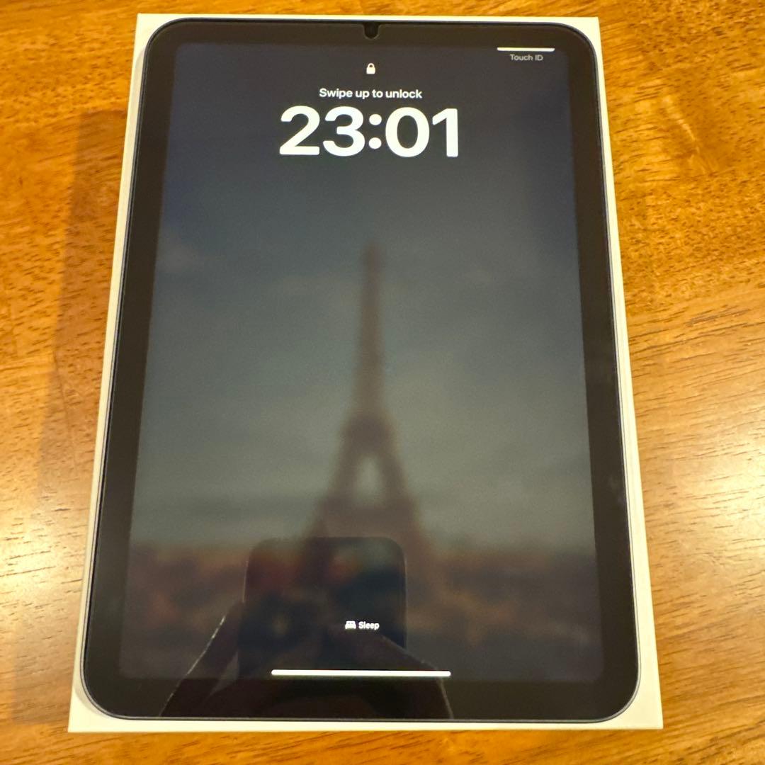 iPad本体 iPad mini 6 256GB Wifi+Apple pencil (2)