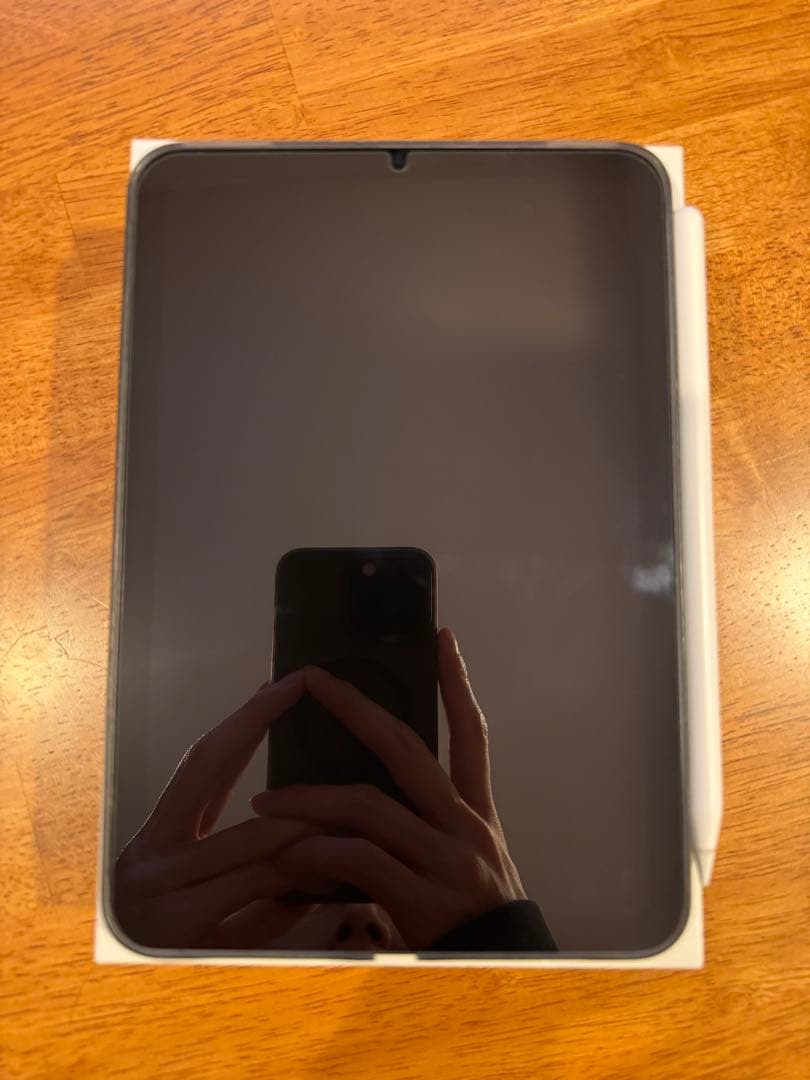 iPad本体 iPad mini 6 256GB Wifi+Apple pencil (2)