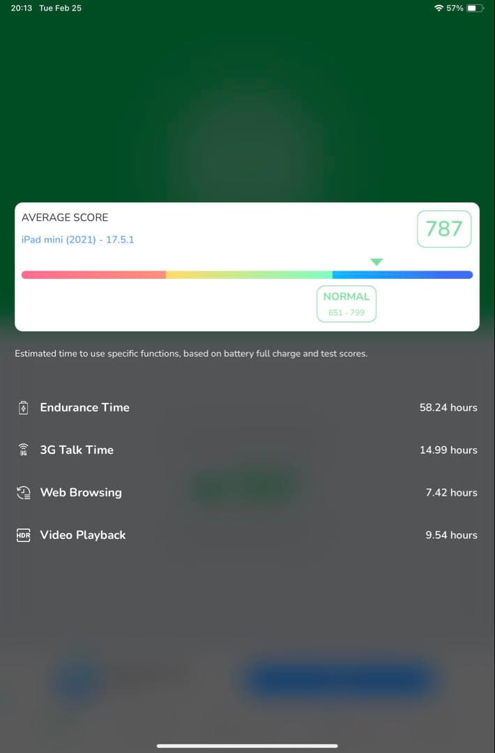 iPad本体 iPad mini 6 256GB Wifi+Apple pencil (2)