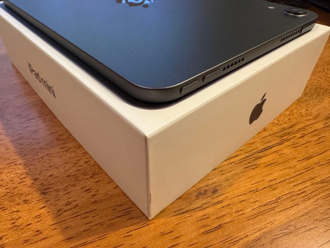 iPad本体 iPad mini 6 256GB Wifi+Apple pencil (2)