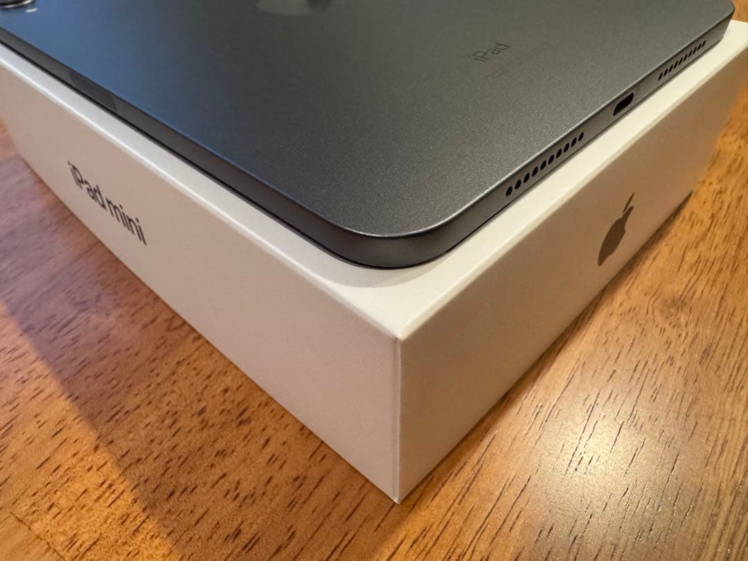 iPad本体 iPad mini 6 256GB Wifi+Apple pencil (2)