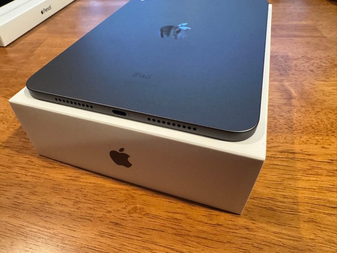 iPad本体 iPad mini 6 256GB Wifi+Apple pencil (2)