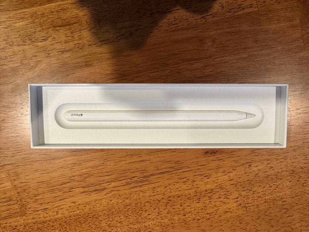 iPad本体 iPad mini 6 256GB Wifi+Apple pencil (2)