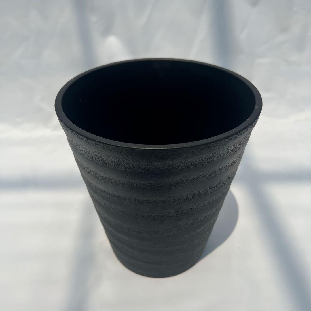 【数量限定❗️高さ160㎝前後】ドドナエア　ポップブッシュ　プルプレア　苗　化粧鉢