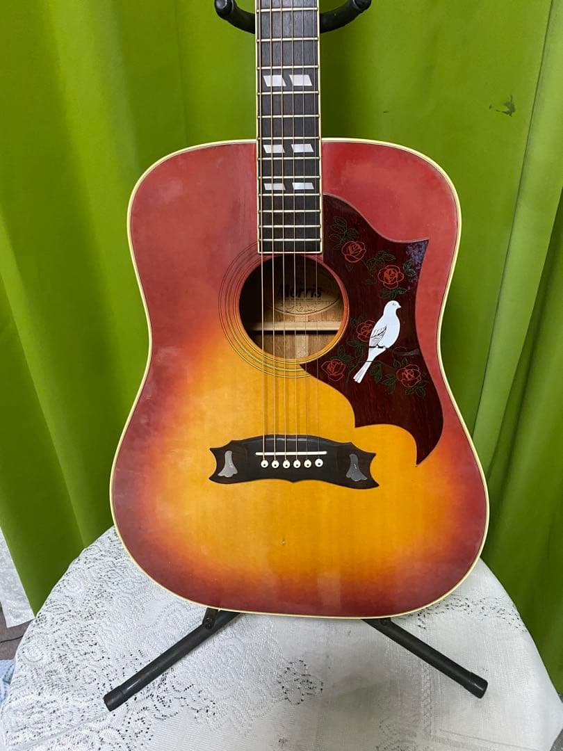 モーリスＷＤ25　DOVEモデル エレアコ ギブソン流のサウンド　良く鳴ります！