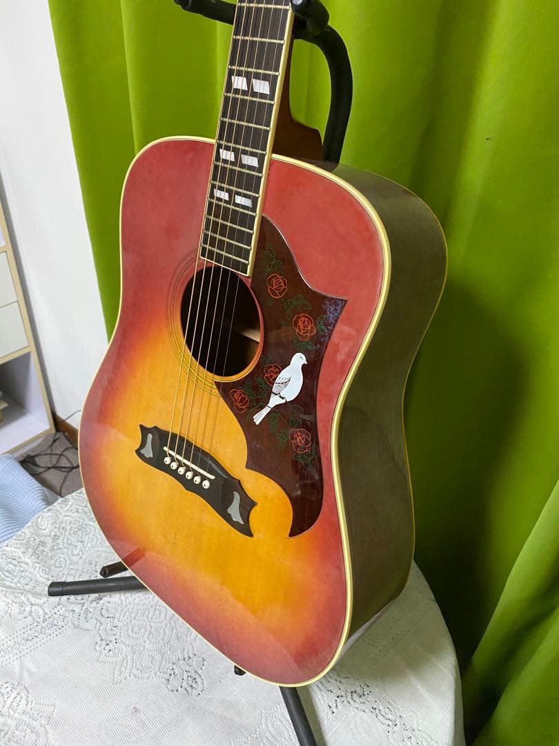 モーリスＷＤ25　DOVEモデル エレアコ ギブソン流のサウンド　良く鳴ります！