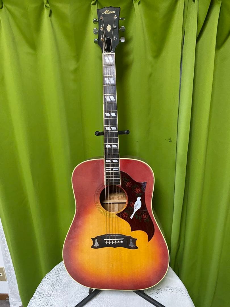 モーリスＷＤ25　DOVEモデル エレアコ ギブソン流のサウンド　良く鳴ります！