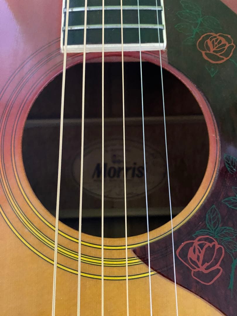 モーリスＷＤ25　DOVEモデル エレアコ ギブソン流のサウンド　良く鳴ります！