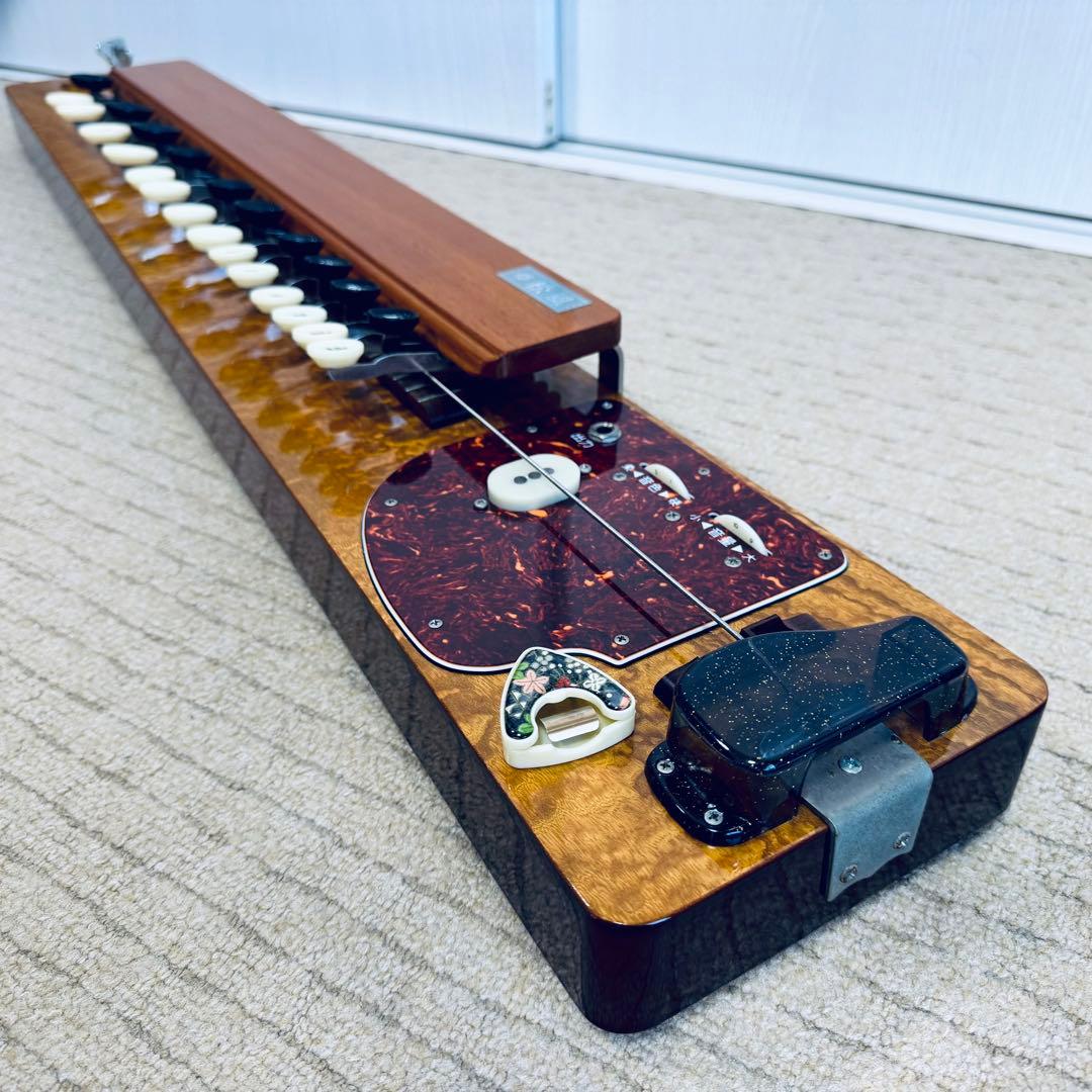 希少 ベース大正琴 琴伝流 バス 松風 ハードケース 調子笛 接続ケーブル付