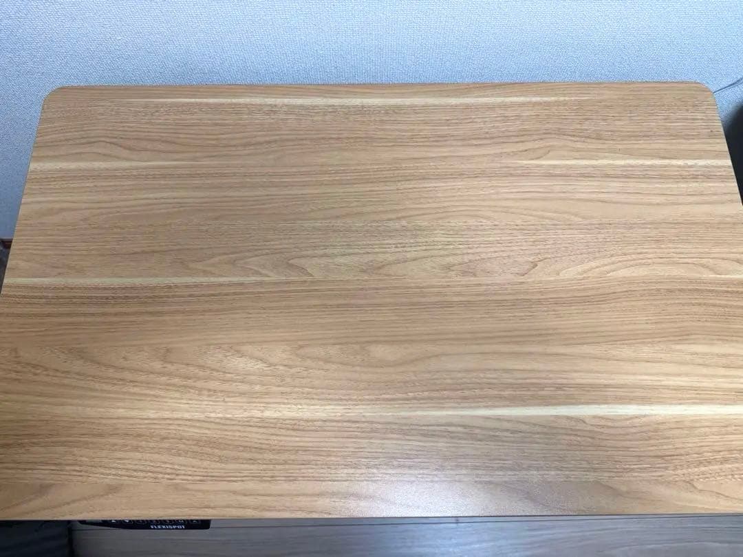 FLEXISPOT 電動昇降式デスク EC1/EN1（天板100cm×60cm）