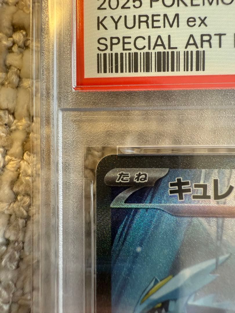 PSA10 ポケモンカード キュレムex SAR SV11B