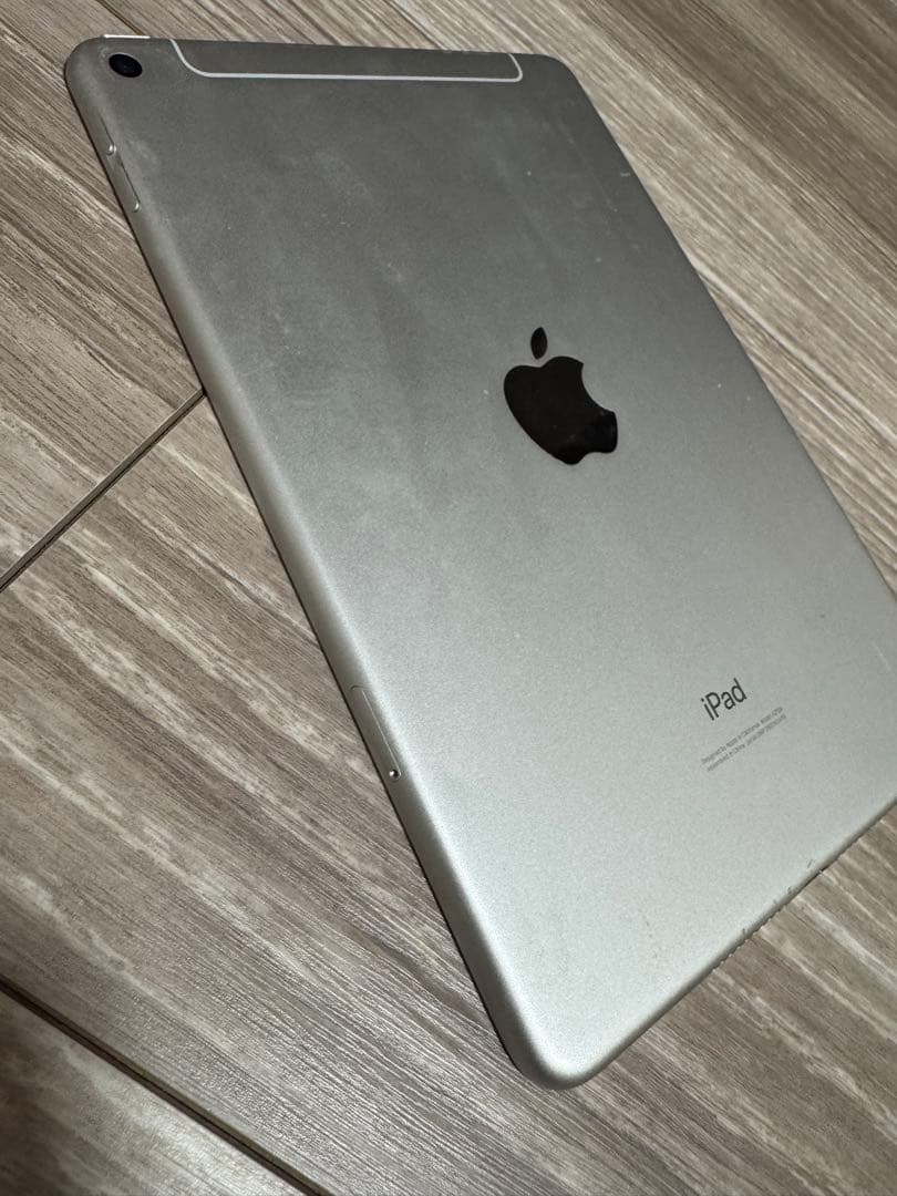 Apple iPad mini 第五世代　シルバー 本体