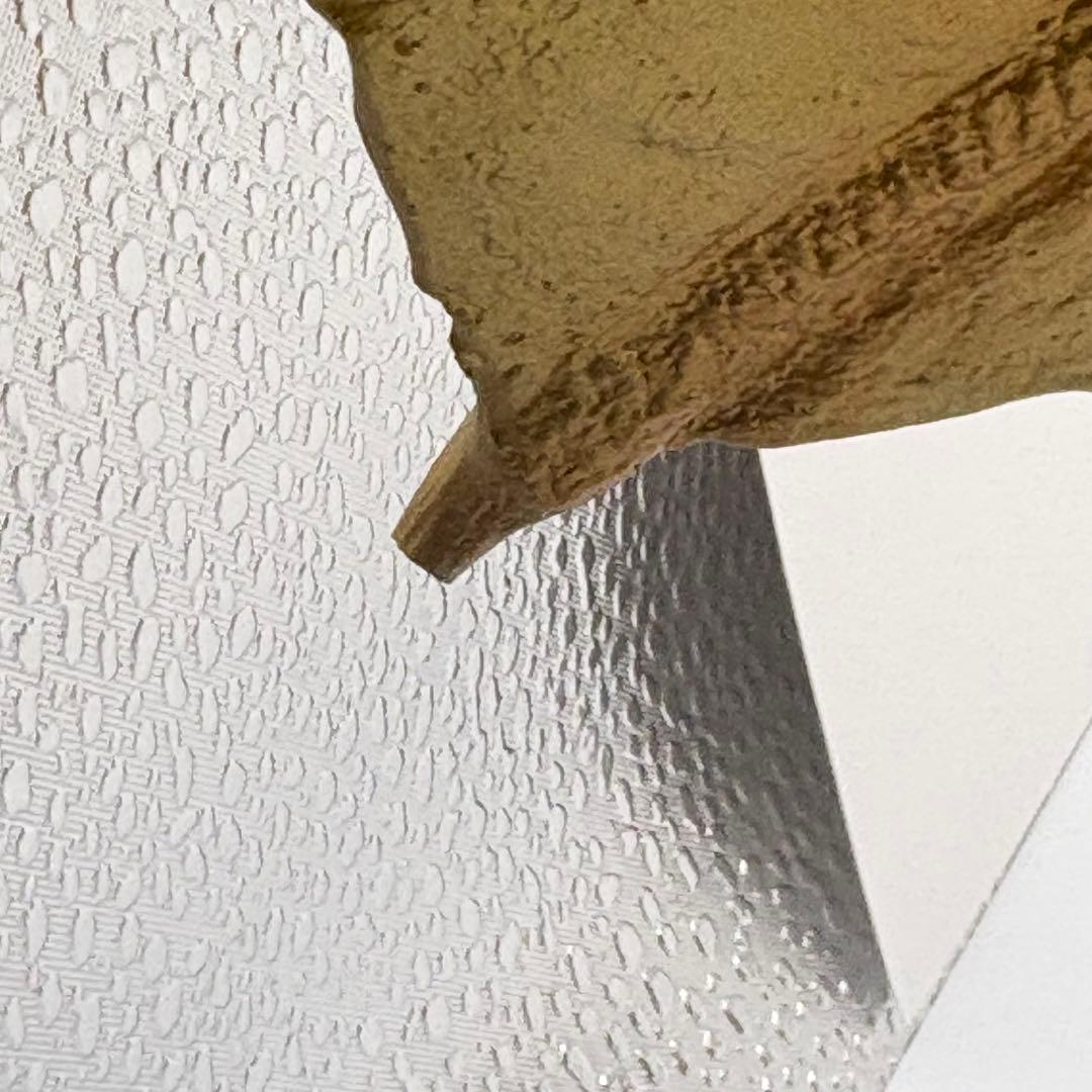 S.H.モンスターアーツ キングギドラ2019 スペシャルカラー 魂ネイションズ