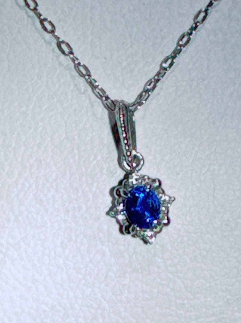 PTアウィンナイトペンダントNO25-2441