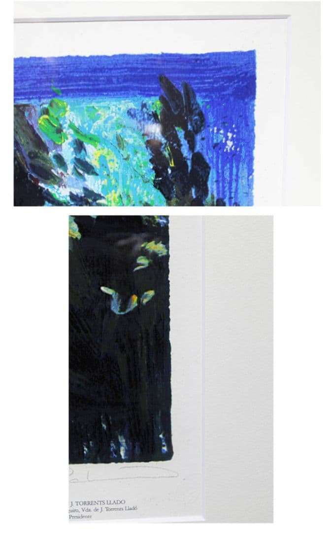 トレンツ・リャド『カサフラゴナール』 シルクスクリーン 大作　モネの庭