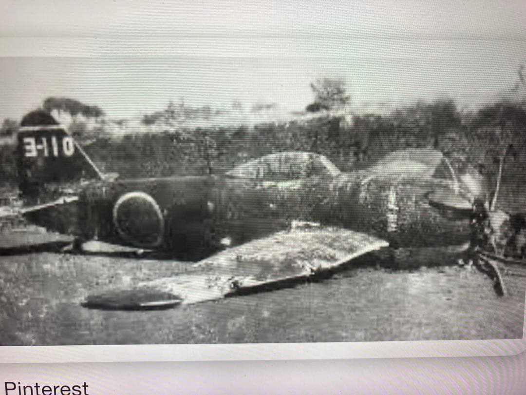 1/48 川西 局地戦闘機 紫電