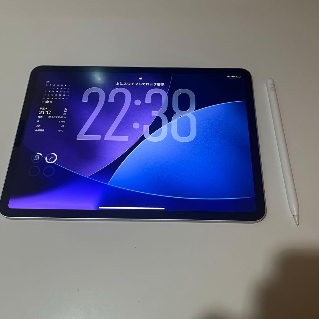 ipad pro 11インチ 第1世代 256GB [シルバー] 純正おまけ付き