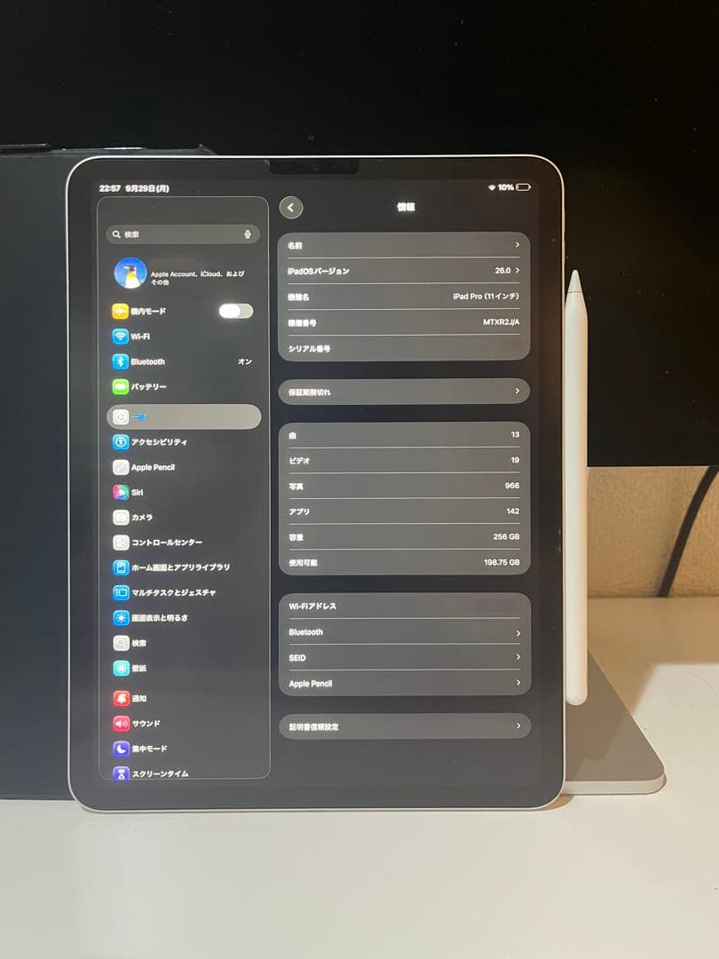 ipad pro 11インチ 第1世代 256GB [シルバー] 純正おまけ付き