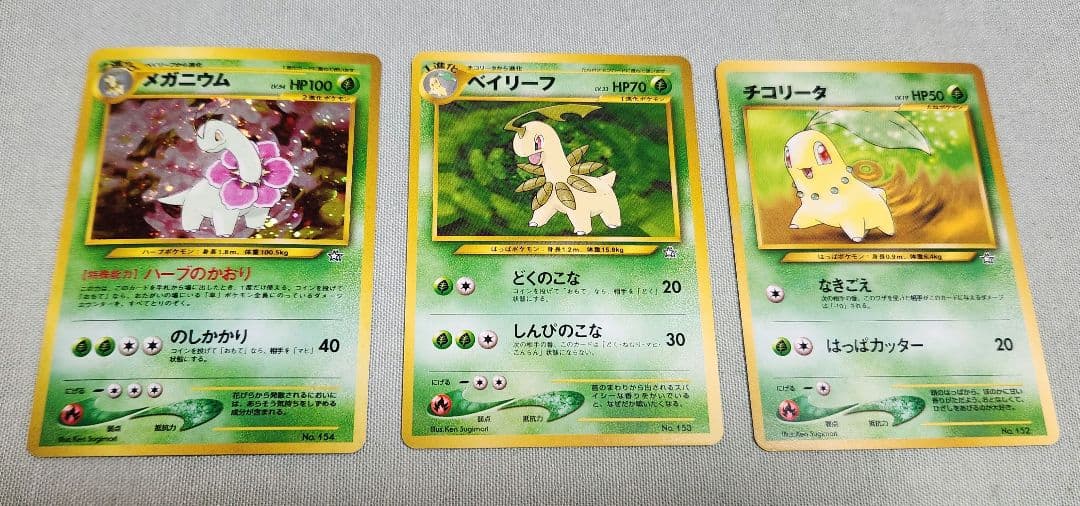 ポケモンカードneo プレミアムファイル 金銀