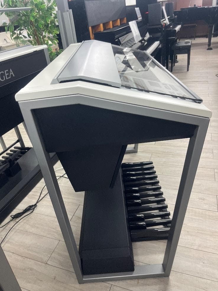 Kanako（仮押さえ）★80077　YAMAHA　ELS02　19年製