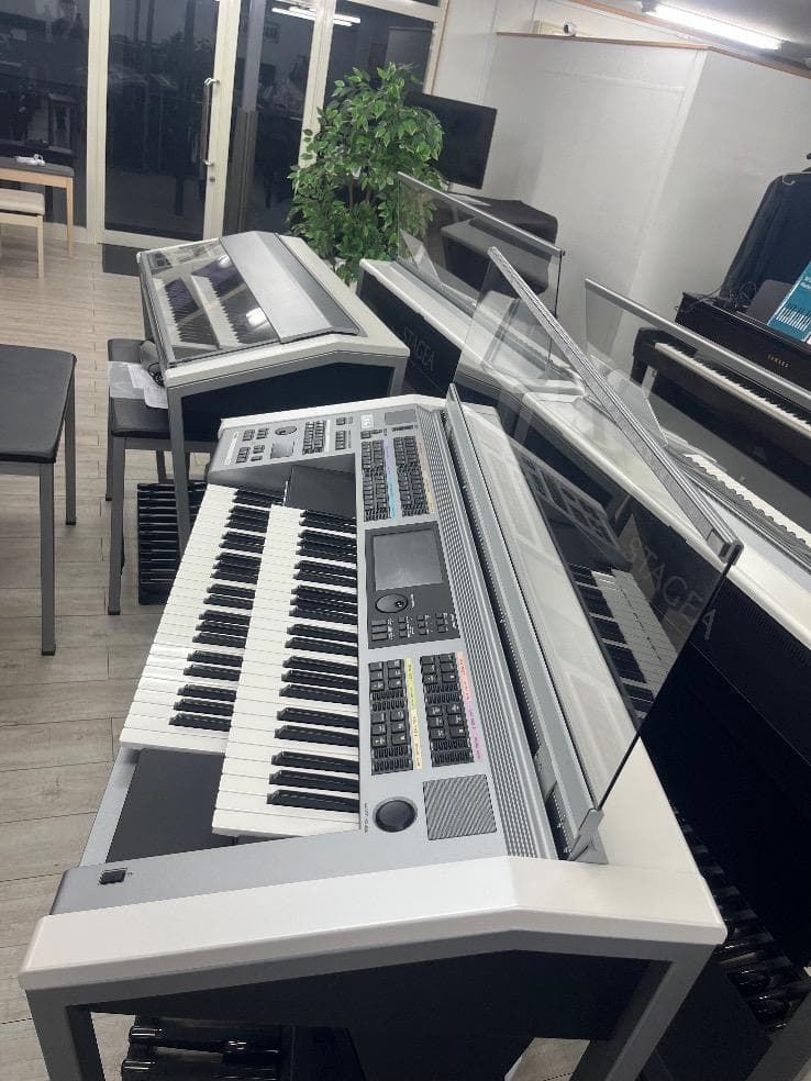 Kanako（仮押さえ）★80077　YAMAHA　ELS02　19年製