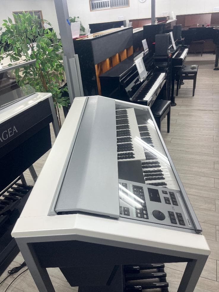 Kanako（仮押さえ）★80077　YAMAHA　ELS02　19年製