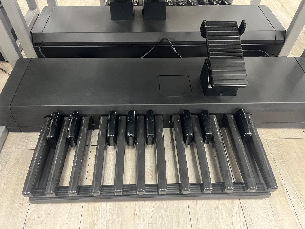 Kanako（仮押さえ）★80077　YAMAHA　ELS02　19年製