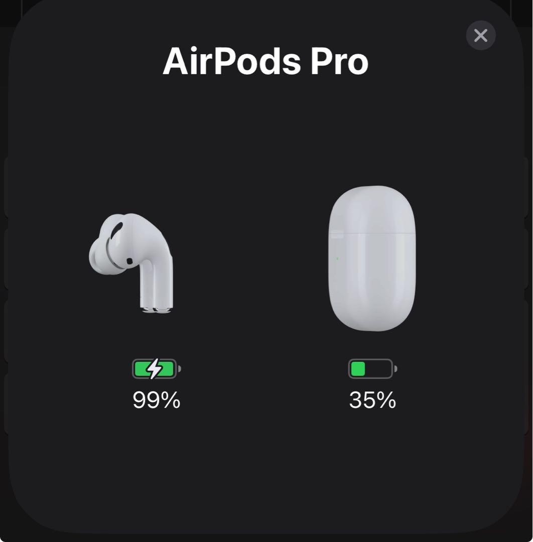 AirPods Pro第1世代 本体&充電ケース 付属品