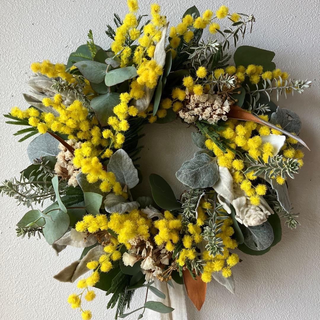 ミランドール産ミモザとラムズイヤーのリース　グレビレア　ユーカリ　スターチス