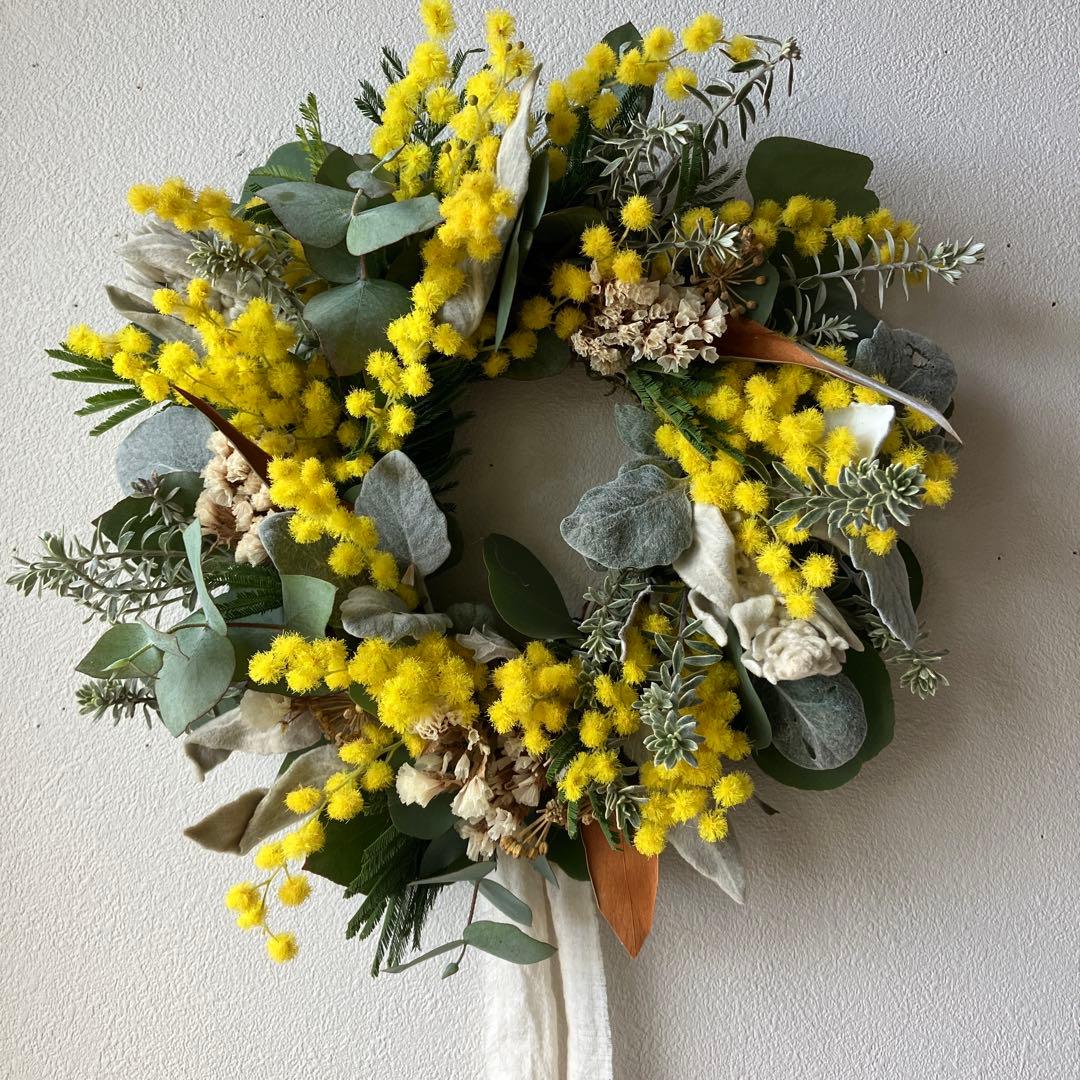 ミランドール産ミモザとラムズイヤーのリース　グレビレア　ユーカリ　スターチス