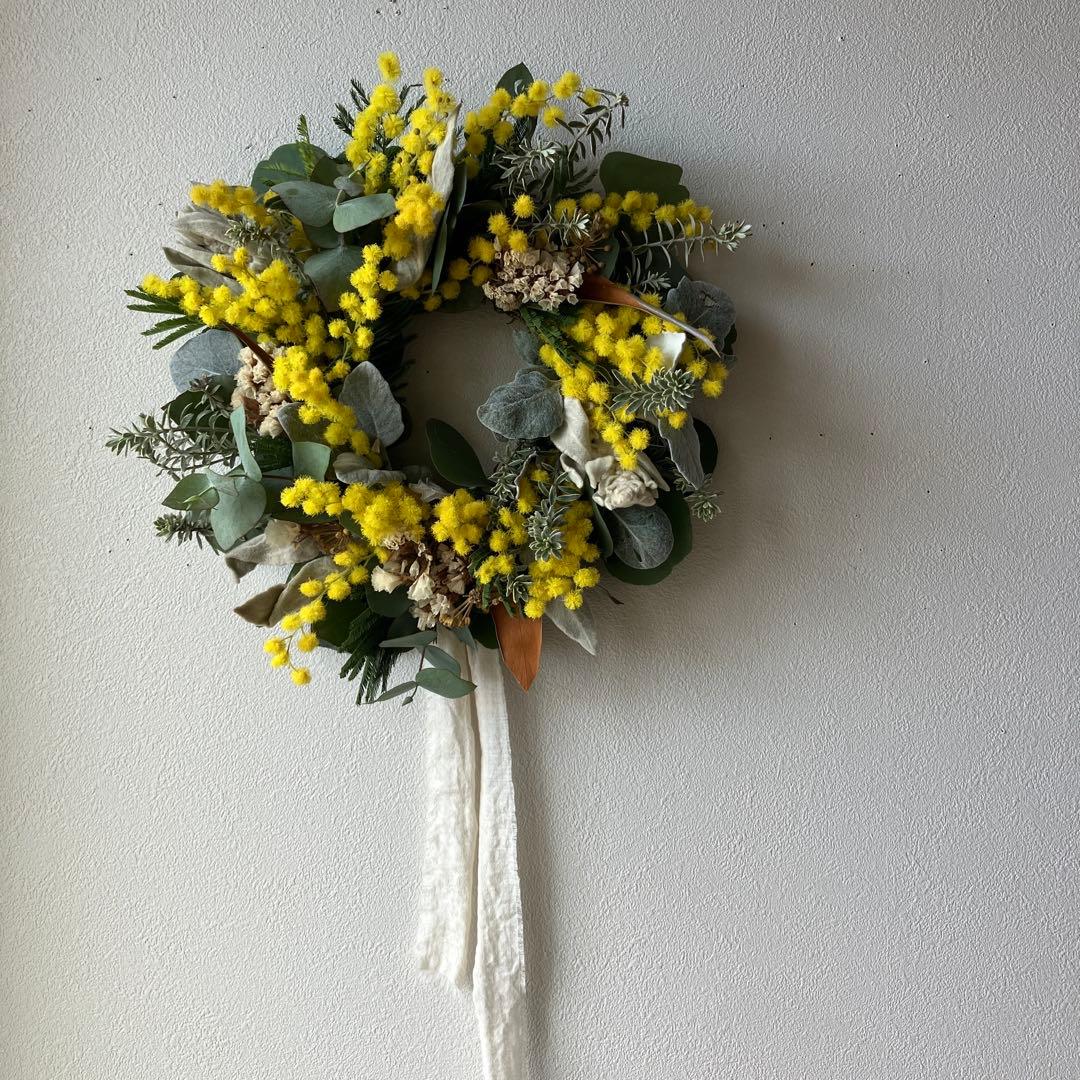 ミランドール産ミモザとラムズイヤーのリース　グレビレア　ユーカリ　スターチス