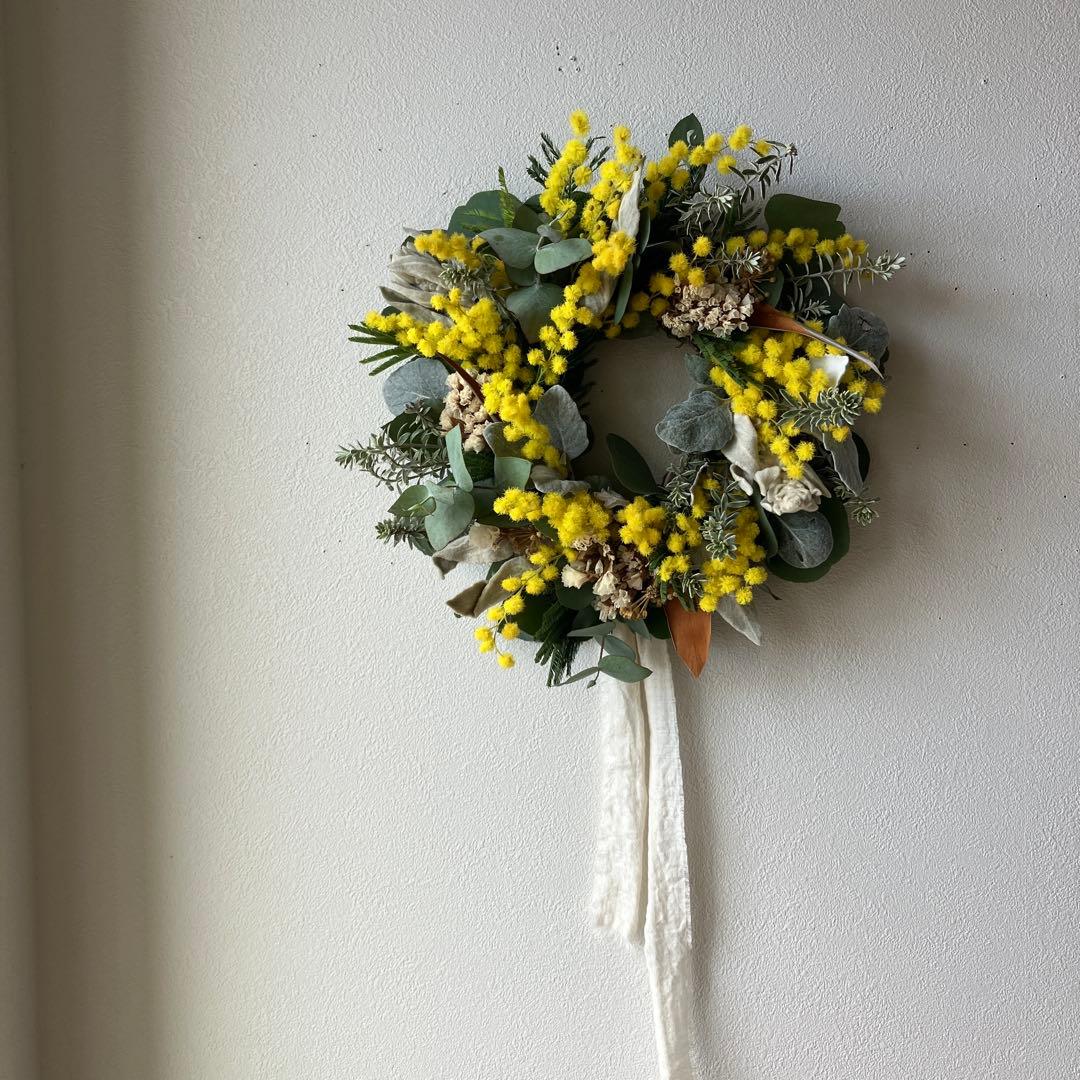 ミランドール産ミモザとラムズイヤーのリース　グレビレア　ユーカリ　スターチス