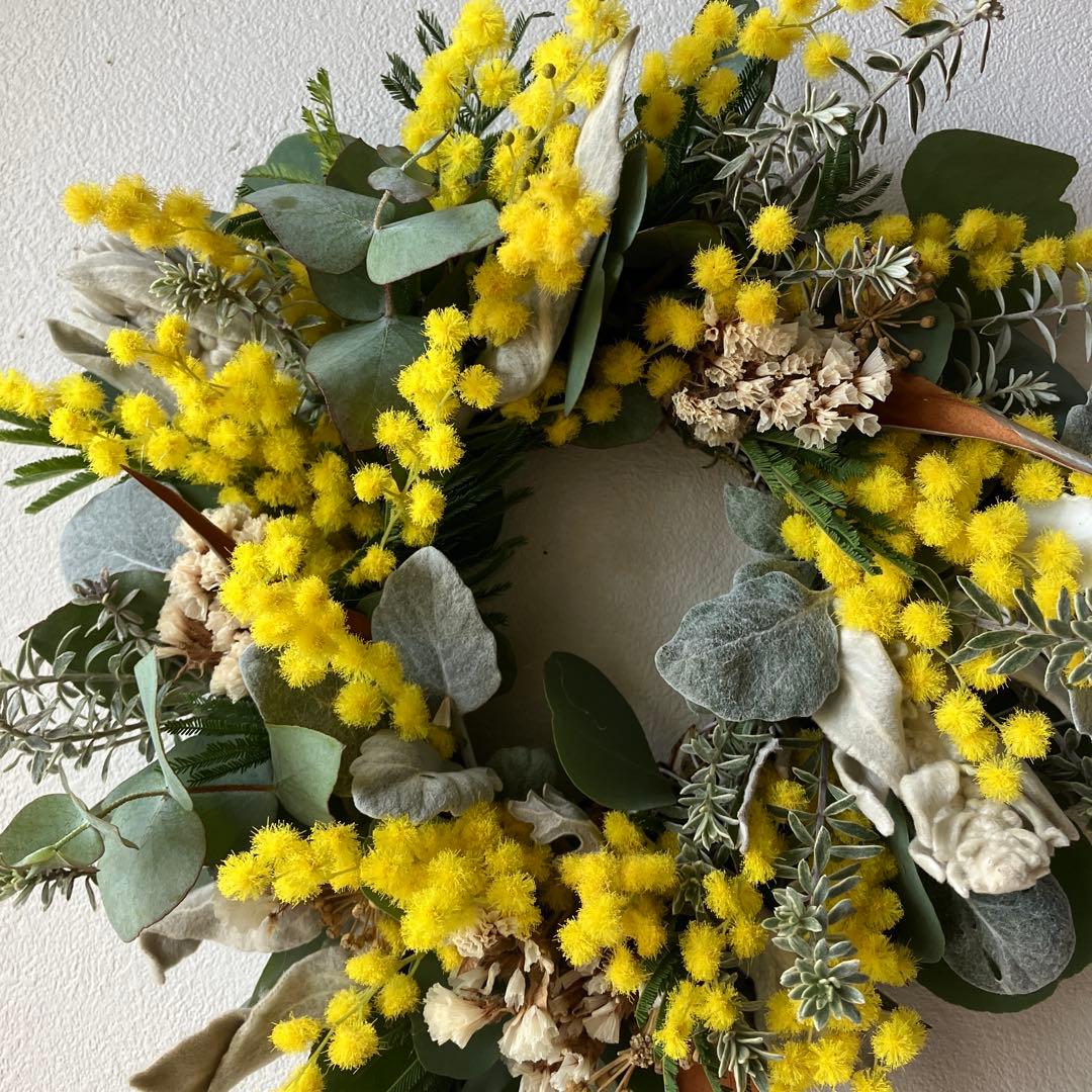 ミランドール産ミモザとラムズイヤーのリース　グレビレア　ユーカリ　スターチス