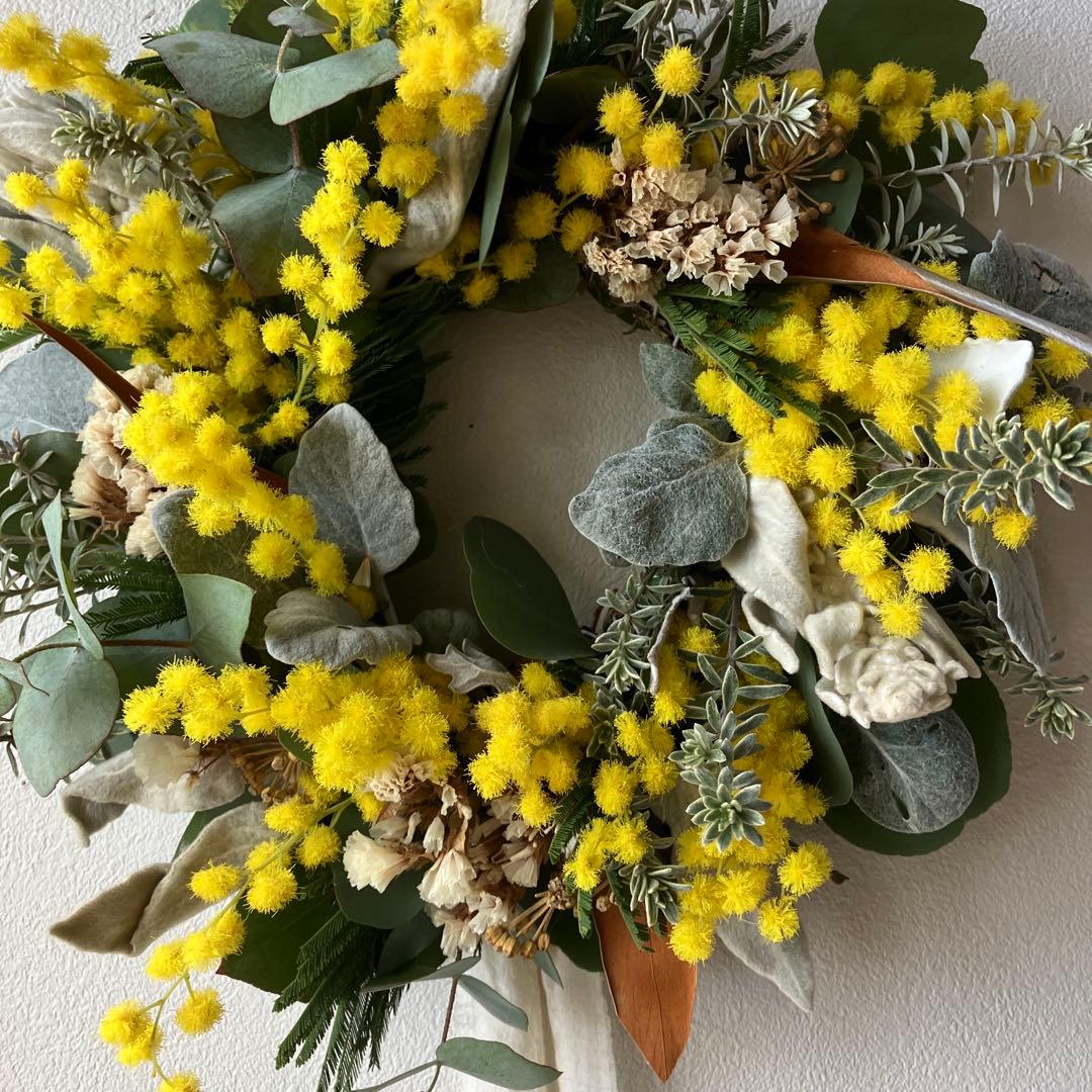ミランドール産ミモザとラムズイヤーのリース　グレビレア　ユーカリ　スターチス