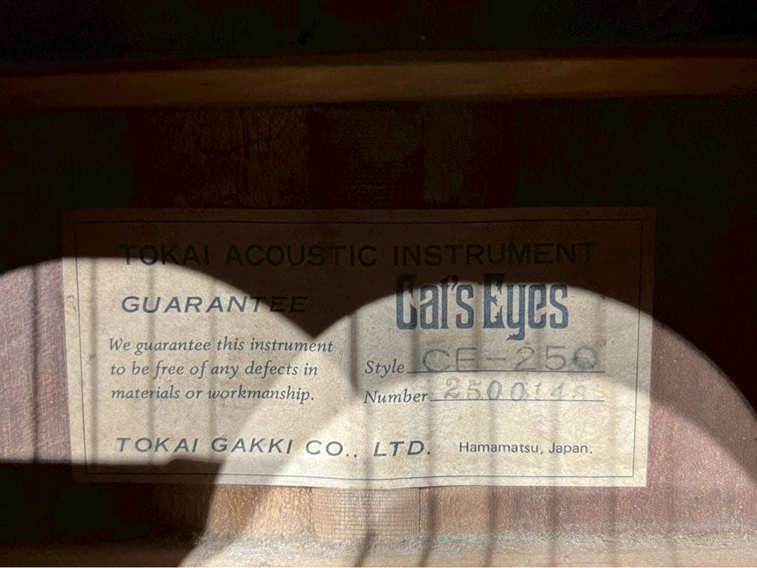 キャッツアイ Cat'sEyes CE-250 アコギ ギター ビンテージ