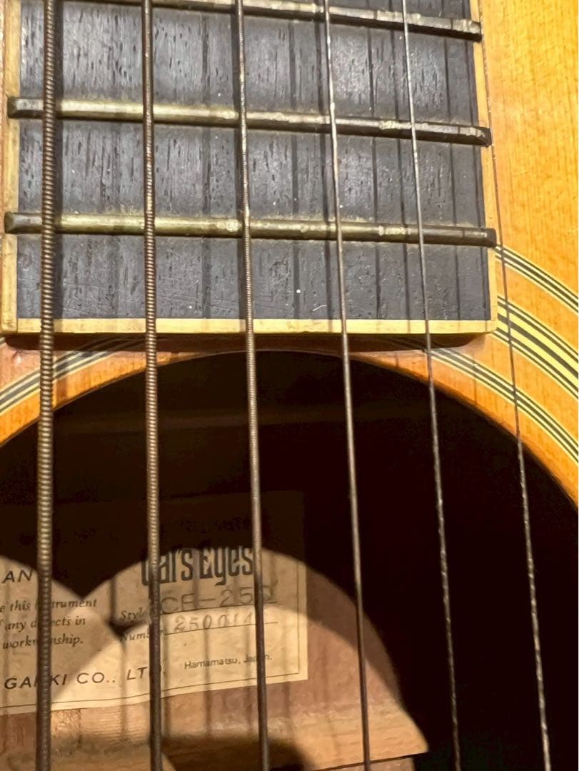 キャッツアイ Cat'sEyes CE-250 アコギ ギター ビンテージ