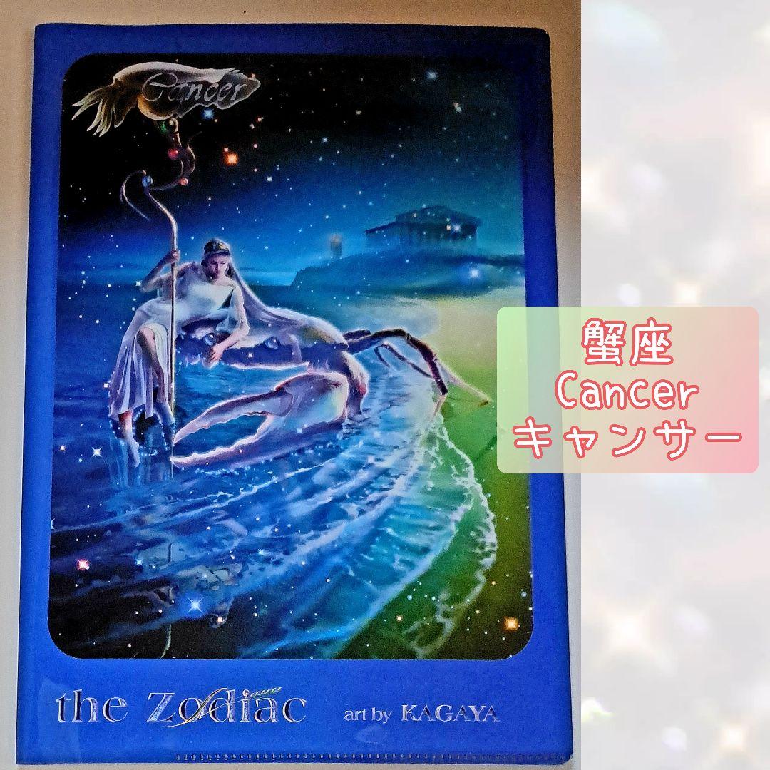KAGAYA カバーノート「the Zodiac」／11冊