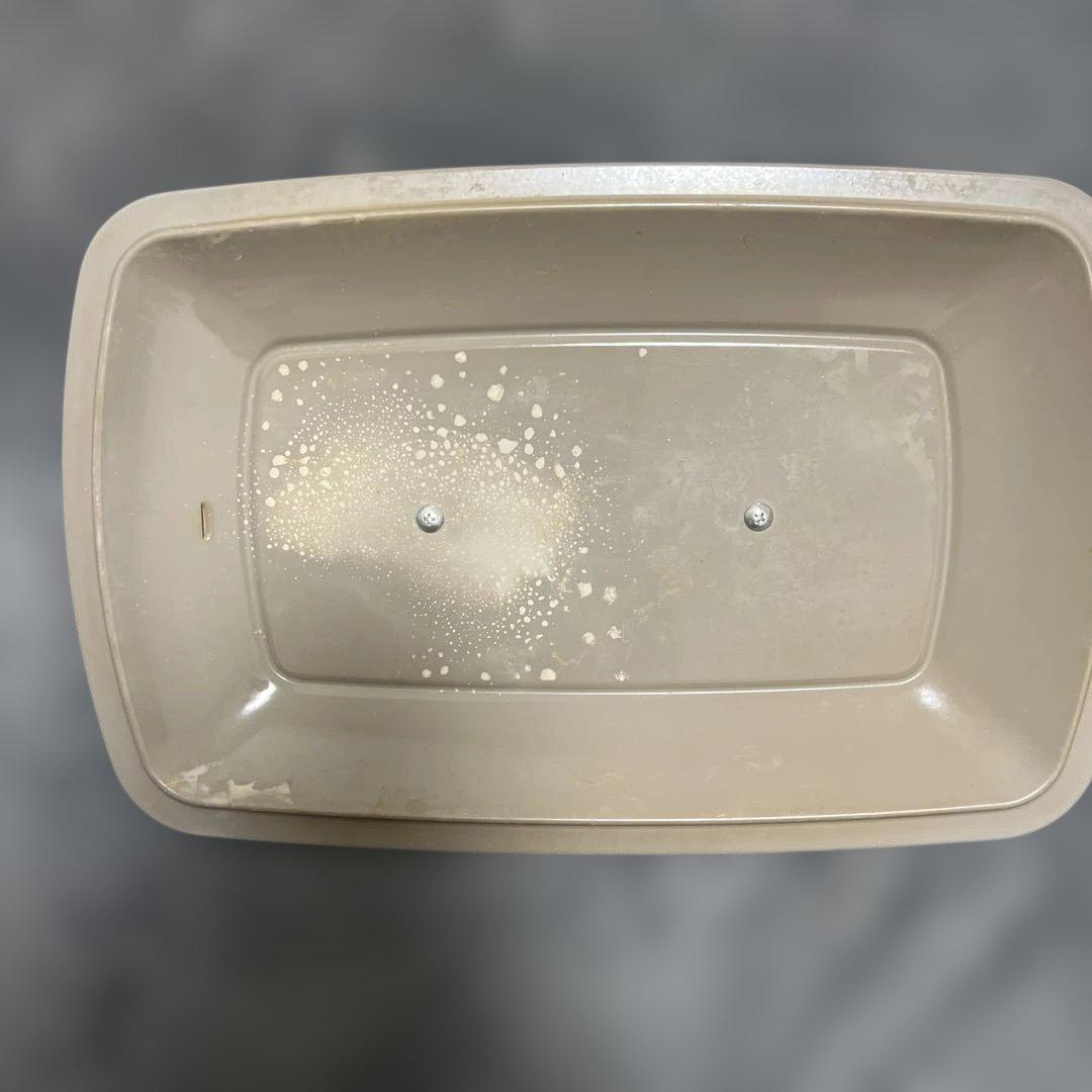 BRUNO ホットプレートグランデ　限定色　ベージュ