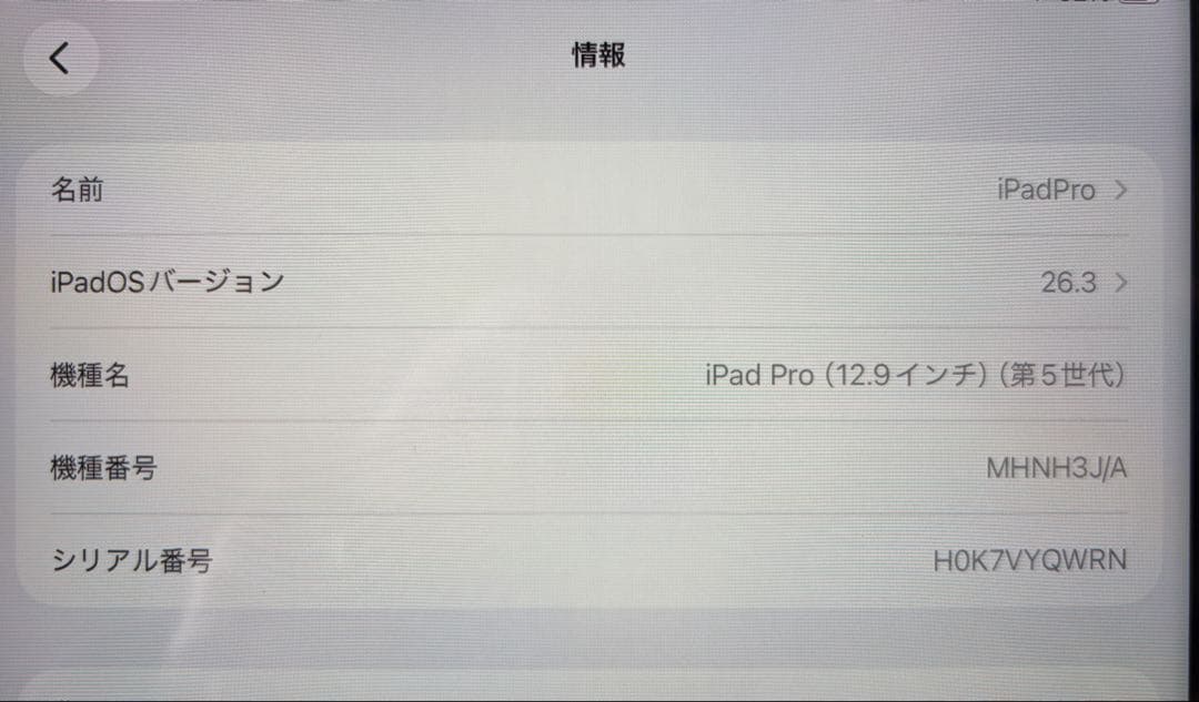 iPad Pro 12.9 第5世代 256GB Wi-Fi M1 動作品