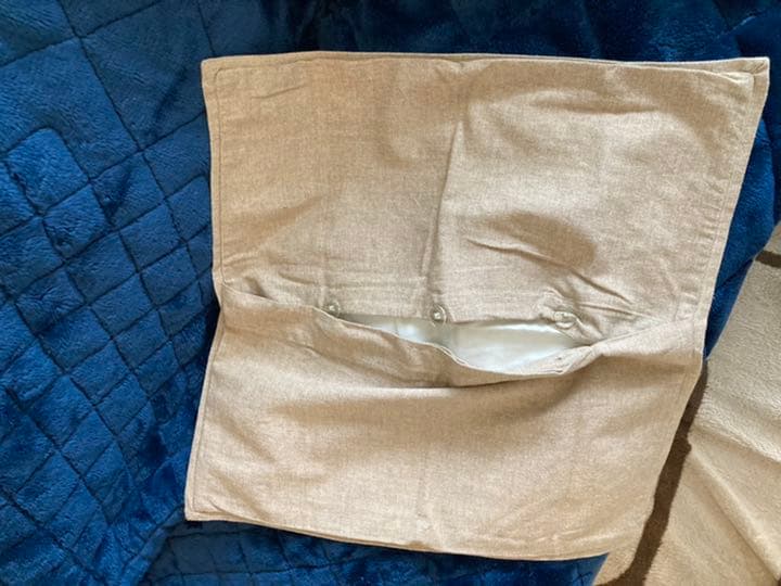 ほぼ新品　米国購入Pottery Barn　カメレオン　クッションカバー