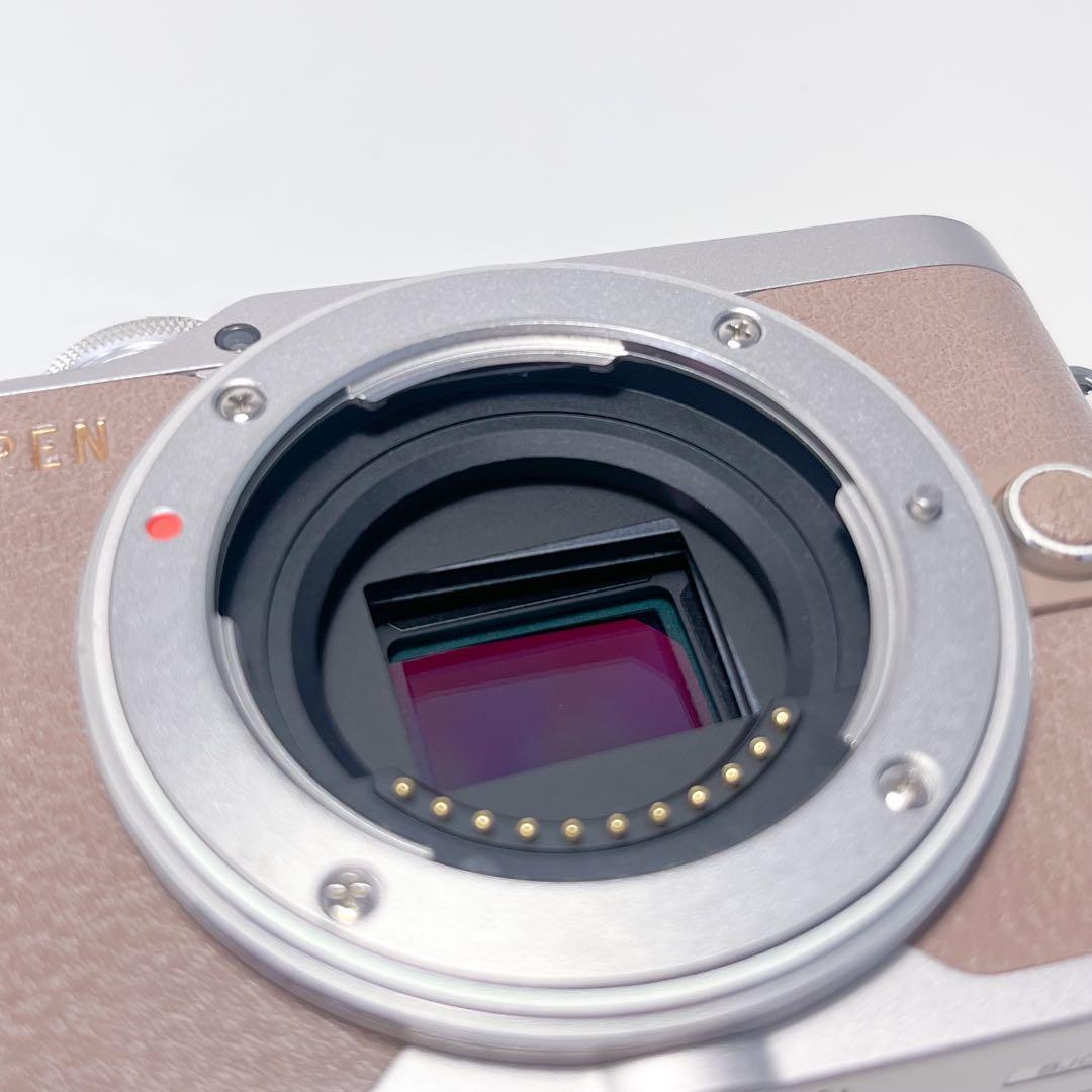 OLYMPUS PEN E-PL10 EZ ダブルレンズズームキット ブラウン