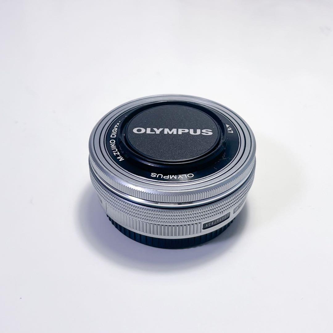 OLYMPUS PEN E-PL10 EZ ダブルレンズズームキット ブラウン