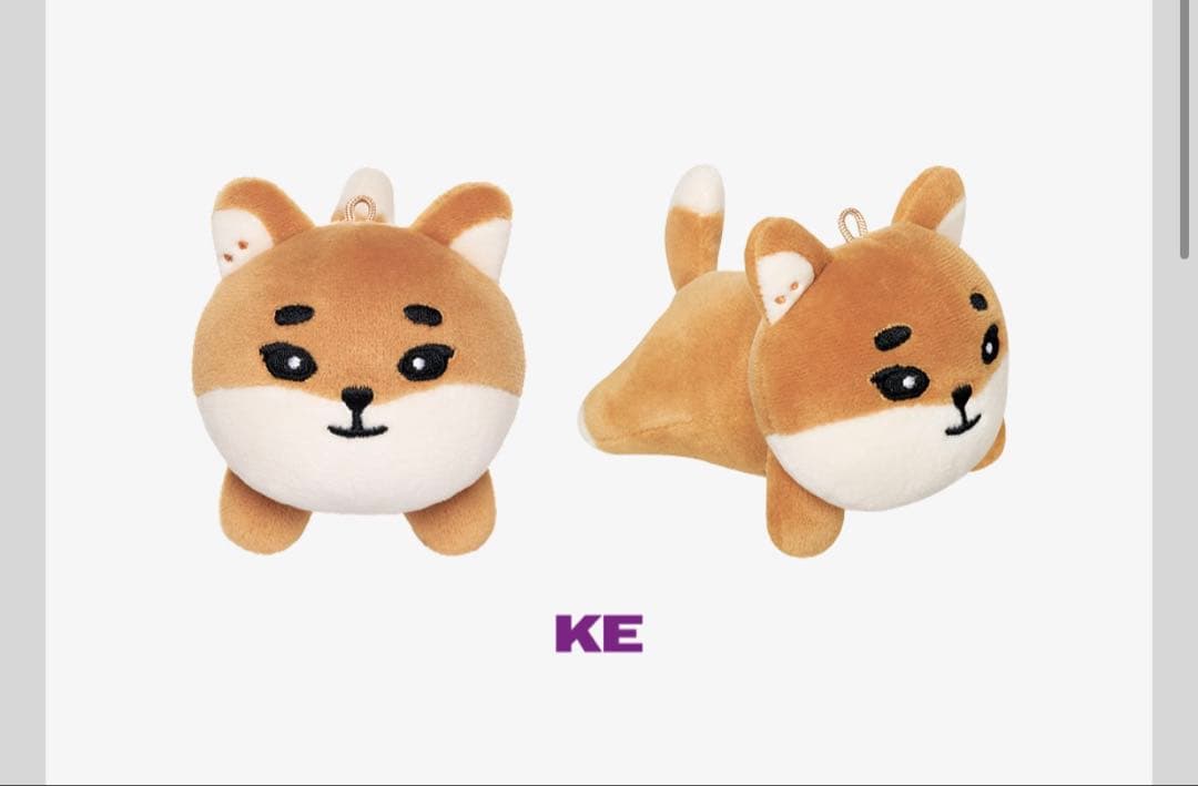 DAY6 デニマルズ ヨンケイ キーリング ぬいぐるみ 大邱 グッズ 2点